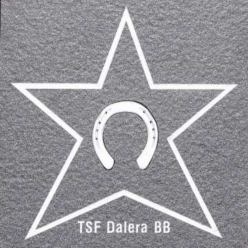 TSF Dalera BBs Steinplatte mit dem Stern auf dem Walk of Fame vor der Geschäftsstelle des CHIO Aachen