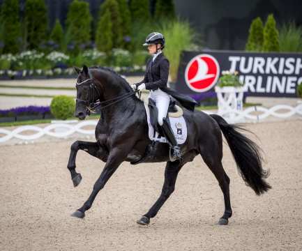 Charlotte Fry and her black stallion Glamourdale display a strong canter in the centre of the Dressage Stadium. Charlotte, in classic riding attire with black tailcoat and helmet. In the background you can see the white boards of the dressage arena and decorative blue flowers as well as green grass and bushes.