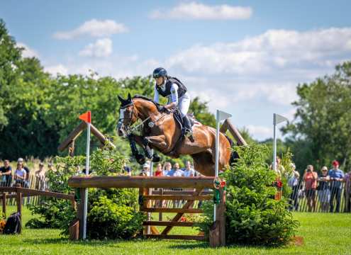 Julia Krajewski and Nickel 21 over a wooden jump with a gate on the cross-country course