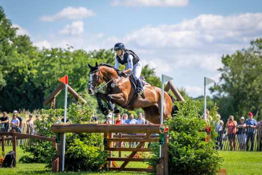 Julia Krajewski and Nickel 21 over a wooden jump with a gate on the cross-country course