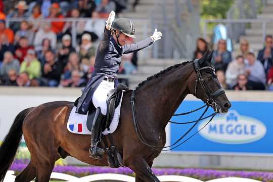 A jubilant Pauline Basquin and Sertorius de Rima Z IFCE after their test in the Dressage Stadium as she raises both arms in the air with open hands to then praise her horse. She wears a navy blue tailcoat, white breeches and a black helmet, while her bay gelding wears a white saddle pad with the French flag on the back corner.